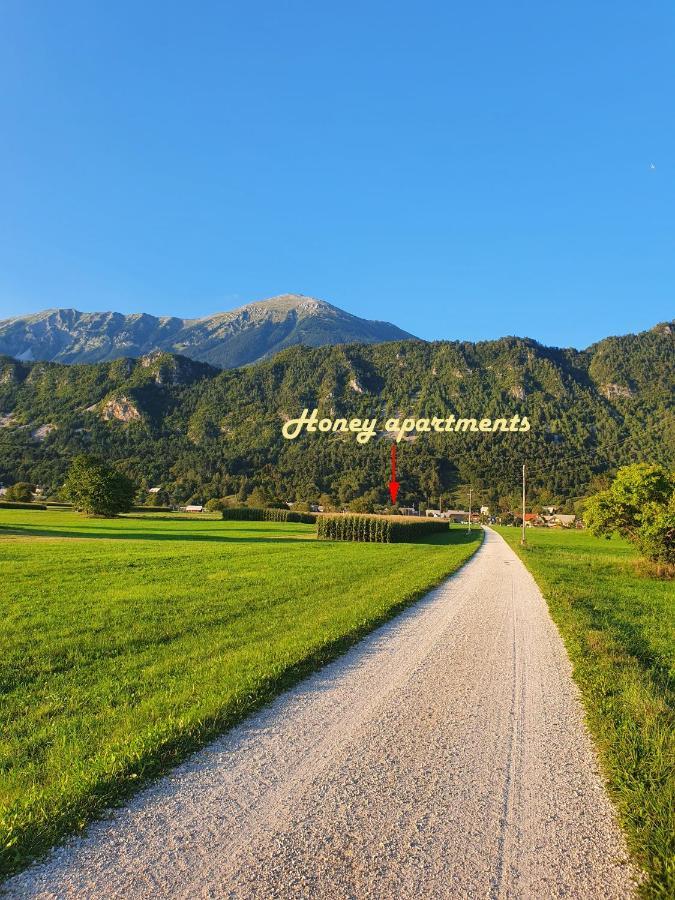 Honey Apartments Zirovnica Eksteriør bilde